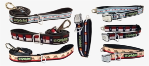 Hometown Pride Collection - Texas Pup Top Dog Leash By Cycle Dog - 6' Length #3631253
