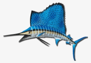 Fish For Sailfish With Captain Dana Banks On The Warbird - Deep Sea Fish Png #3632173