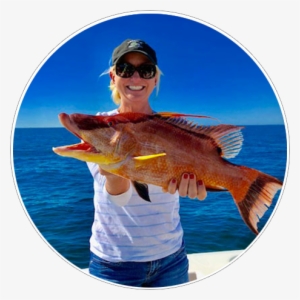 Clearwater Deep Sea Fishing Charters - Clearwater #3633086