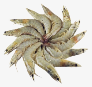 Image01 - Seafood #3634113