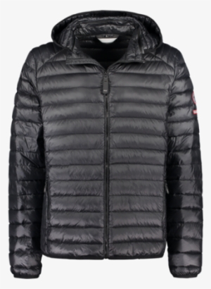 Esja Down Jacket - Dolomite Dunjakke Herre #3634361