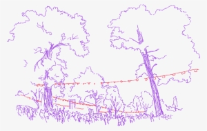 More About The Ballot - Ballot #3634387