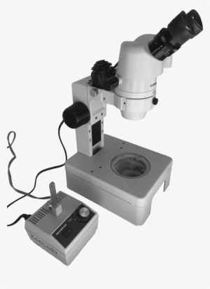 Dissecting Microscope And Light Source - Stereo Microscope #3634633