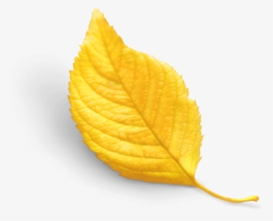 Ihcvisrael Healthcare Ventures - Autumn #3634743