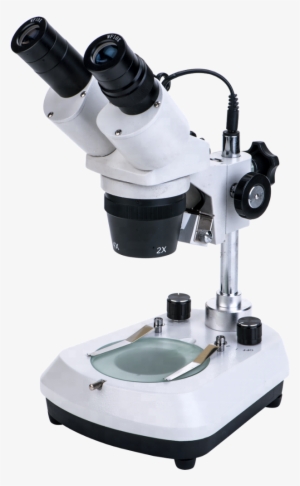 Xtd-206 Led Digital Binocular Stereo Microscope - Milling #3634818