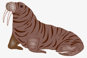 Free Png Walrus Hd Photo Png Images Transparent - Baby Walrus Transparent #3634847