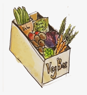 Veg Box 2 - Falkland Kitchen Farm #3634977