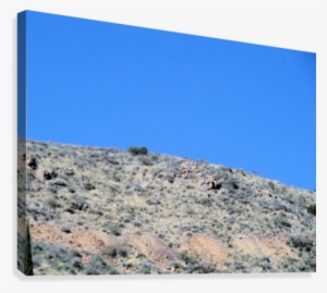 Rocks And Plants On The Mountain Side Canvas Print - Outcrop #3635062