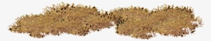 Grass #3635244 Grass #3635244