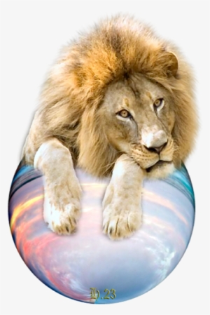 Wir Sekilleri #3635376