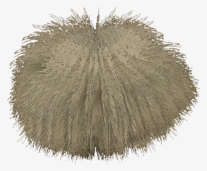 Grass - Wiki #3635447