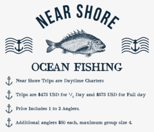 Near Shore Ocean Fishing These Are Daytime Charters, #3635467