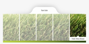 Coolflo Technology Is The Latest Innovation In The - Sweet Grass #3635475