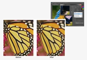 Preserve Details #3635546