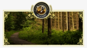Copy-enviro Header - Larch #3635635