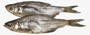 Free Png Fish Png Images Transparent - Вяленая Рыба Пнг #3636095