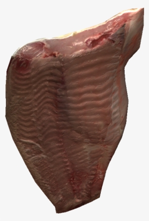 Raw Fish Fillet - Dayz #3636163