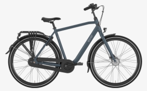 Gazelle Esprit Gents #3636250