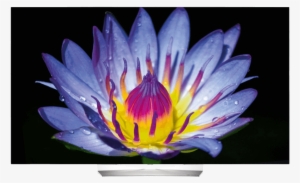 Lg 55eg9a7v Full Hd Smart Tv #3637702