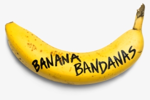 Banana Bandanas #3637798