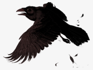 Raven Png #3638685 Raven Png #3638685