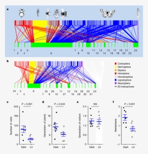 Effects Of Artificial Lighting On Parameters Of Nocturnal - Diagram #3639876