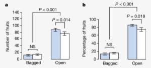 Effects Of Artificial Lighting On Fruit Set - Proliferation Assay Hek293 Egf #3639947