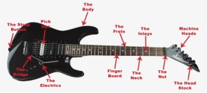 Anatomy Of The Guitar - Guitar Parts Names #3640004