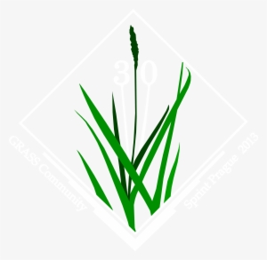 Total Downloads - Grass #3642247