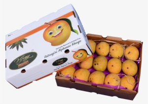 Pack Of 30 Alphonso Mangoes - Orange #3642441 Pack Of 30 Alphonso Mangoes - Orange #3642441
