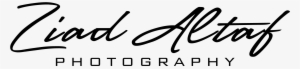 Calligraphy #3642577
