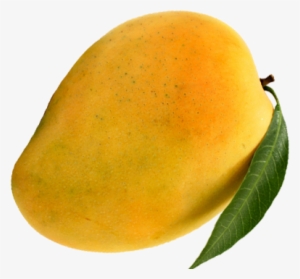 Ratnagiri Alphonso Mangoes To Your Doors - Ratnagiri #3642636