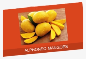 Facts About Alphonso - 倉木 麻衣 All My Best #3642958