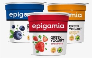 Epigamia Greek Yogurt Blueberry 90g Strawberry 90g - Epigamia Greek Yogurt Calories #3643043