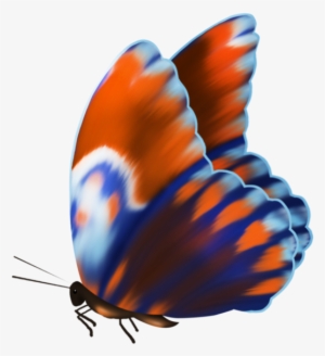 Butterfly #3643252
