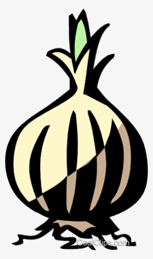 Onions Royalty Free Vector Clip Art Illustration - Illustration #3643402