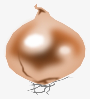 Onion Cebolla Png Images 506 X - Clip Art #3643519