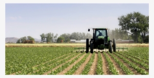 Crops Png #3643772