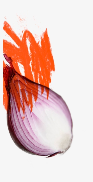 Cinder House Flame One - Cinder House #3643807