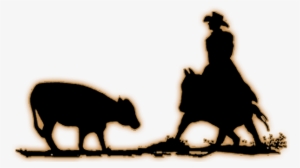 Southern Cutting Futurity #3643994