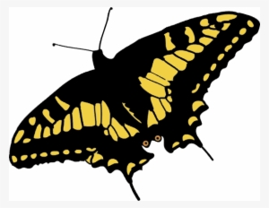 Free Butterfly - Black And Yellow Butterfly Shower Curtain #3644014