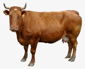 1 2 - India Superpower 2020 Meme #3644038