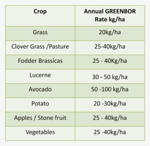 Greenbor Application Table - Portable Network Graphics #3644155