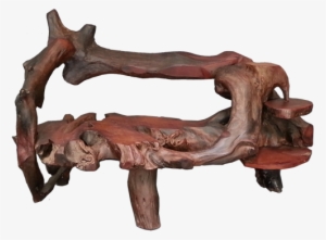 Sofa Made From A Padouk Root - Couch #3644217