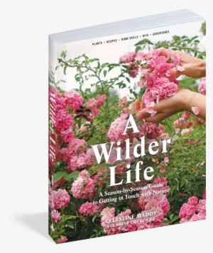 View Full Size Image - Wilder Life: A Season-by-season Guide To Getting In #3646459