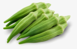 World No1st Exocrine System Ladies Finger - Okra Clipart #3646502