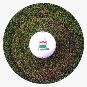 Golf - Circle #3646531