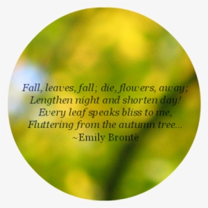 Well It's The Last Day Of Autumn Here In Brisbane - Circle #3646558