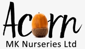 Adding Vibrancy To Gardens With Our Range Of Summer - Kitchen #3646669