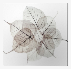 Betrachte Dich Mit Den Augen Der Liebe #3646754